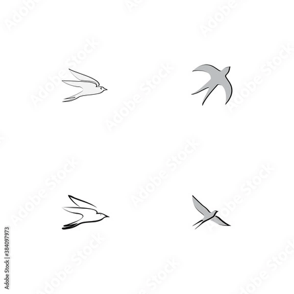 Obraz creative logo design Swallow bird logo vector template illustration
