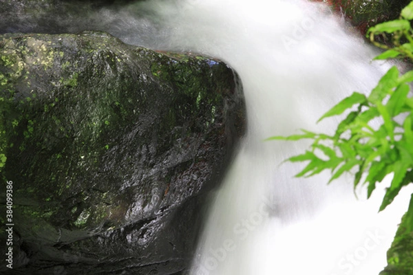 Fototapeta 川の流れ