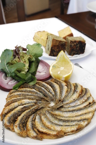 Obraz balık spiral2