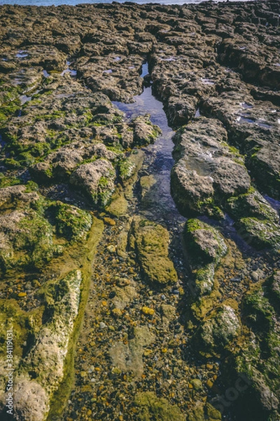 Obraz early morning rock pools