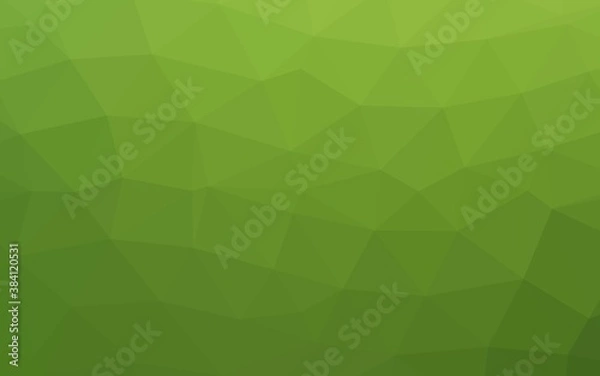 Obraz Light Green vector polygon abstract backdrop.