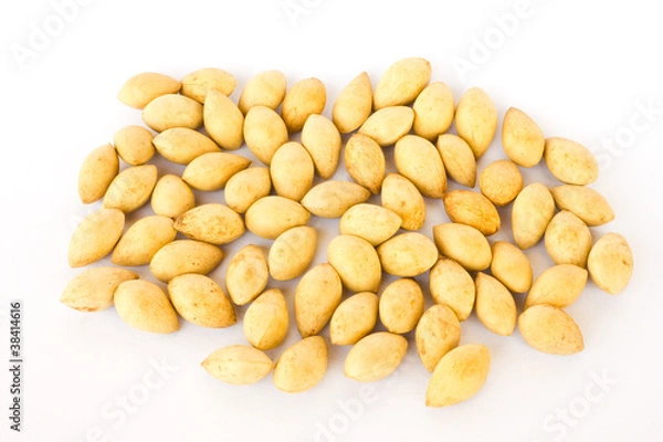 Obraz Ginkgo seeds