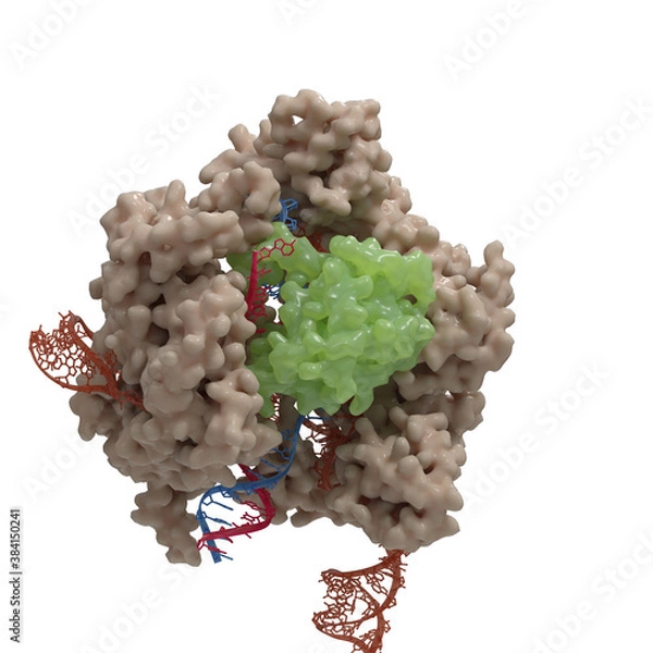 Fototapeta Illustration of a CRISPR-Cas9 DNA cleavage complex  based on actual Cryo-Electronmicroscopy data. 
