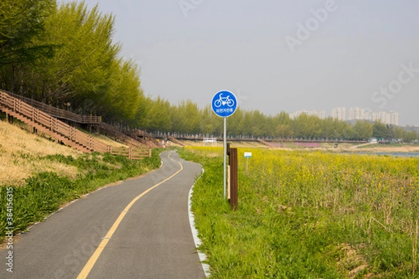 Obraz 은행나무 자전거길