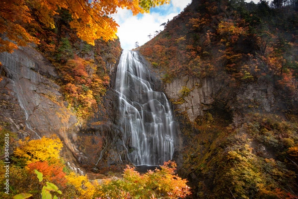 Fototapeta 安の滝