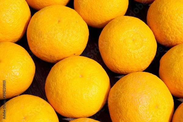 Obraz 複数の夏みかん