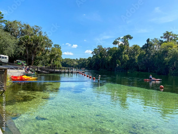 Fototapeta People kayaking from KP Hole County park down the Rainbow River in Dunnellon, Florida.