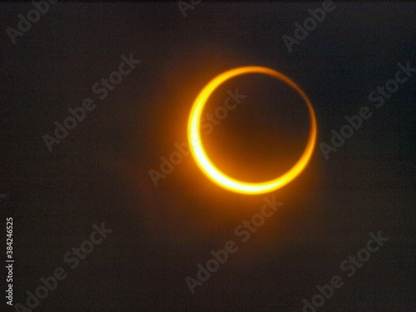 Fototapeta OLYMPUS DIGITAL CAMERA