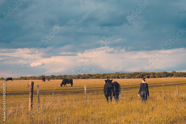 Obraz couple in the field