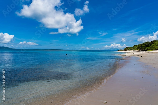 Fototapeta 新城島　パナリ島　ビーチ