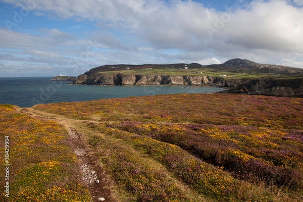 Fototapeta Views to South Stack Lighthouse