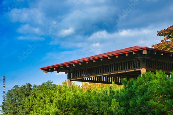 Obraz 大空の下　緑　公園