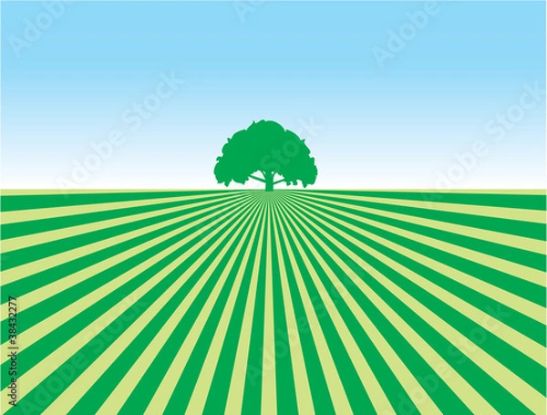 Obraz Ekologiczny pejzaż uprawa naturalna