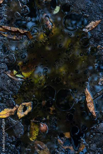 Obraz 
making close-ups in the woods