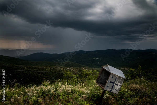 Obraz 
exploring the forest near me