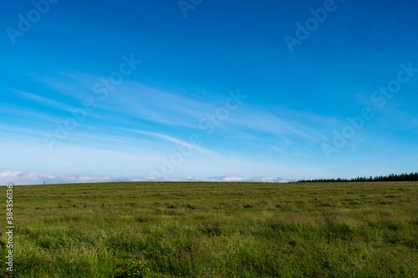 Fototapeta 白金模範牧場の雲海　美瑛