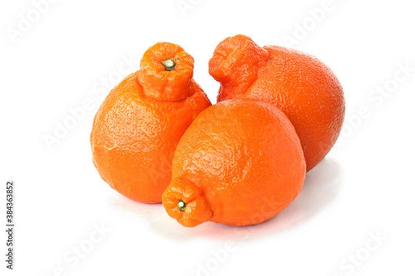 Obraz Three mineolas isolated on white