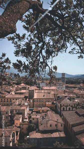 Obraz LUCCA TORRE GUINIGI