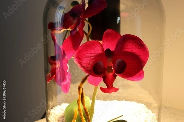 Obraz Orchids in a decorative jar with light bulb