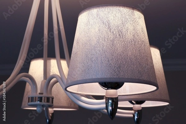 Obraz Silver lampshade with bulb