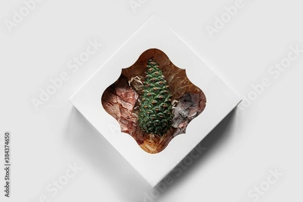 Obraz pine tree young green cone in a box with bark, 
Christmas tree 