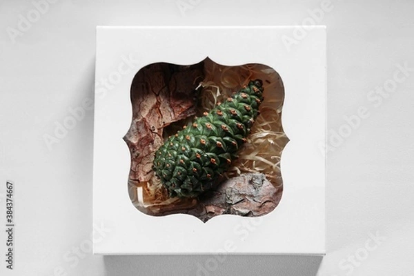 Obraz pine tree young green cone in a box with bark, 
Christmas tree 