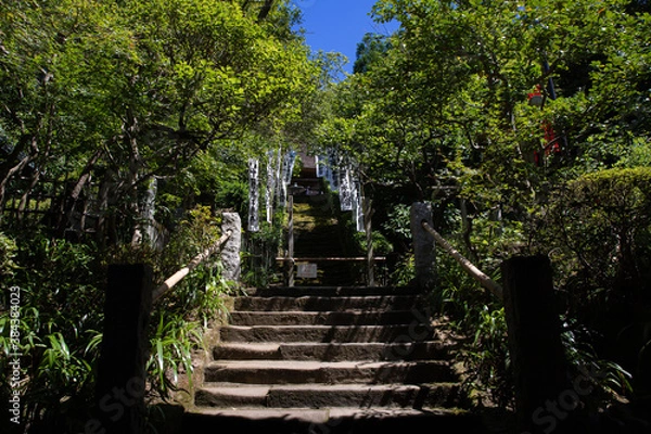 Fototapeta 妙法寺