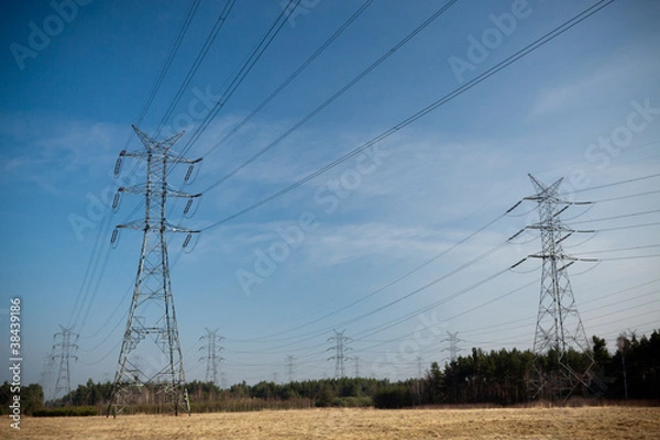 Obraz power pylons and wires