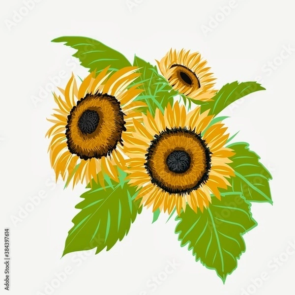 Obraz sunflower isolated on white