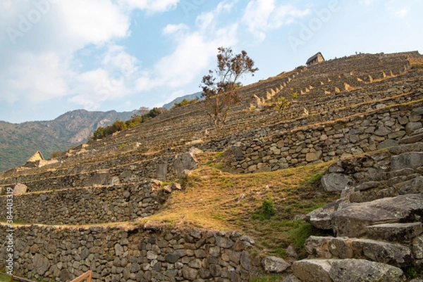 Obraz マチュピチュ