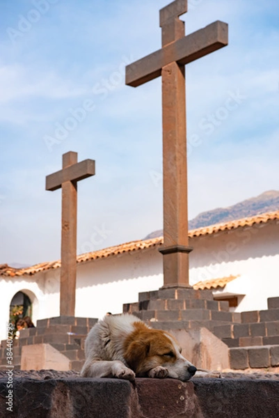 Obraz ペルーのアンダワイリリャス・カトリック教会と犬