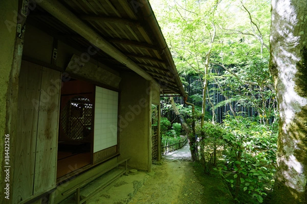Fototapeta 祇王寺の風景