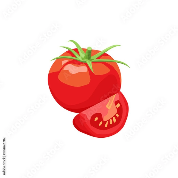 Obraz Fresh vegetable Tomato isolated vector white background