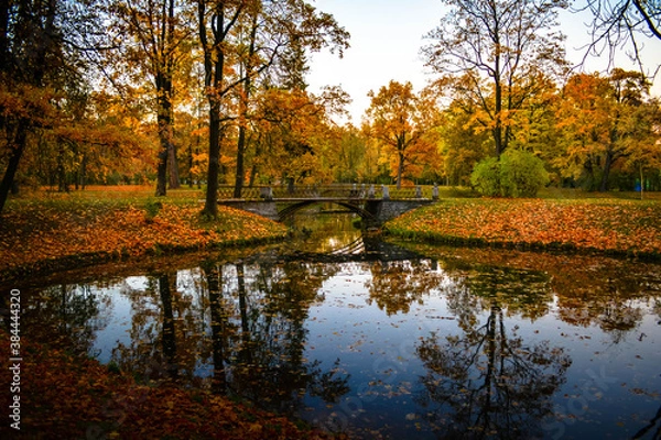 Obraz autumn in the Park of Pushkin
