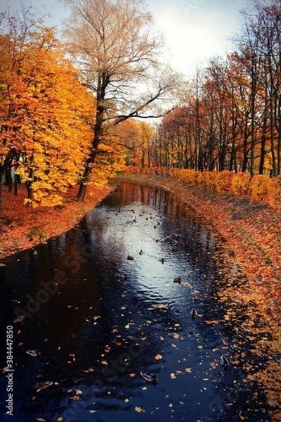 Obraz autumn in the park
