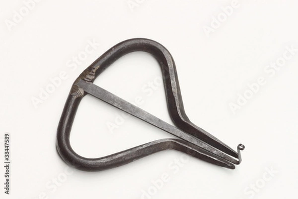 Fototapeta Maultrommel