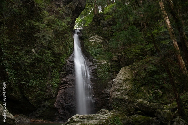 Fototapeta 龍王の滝