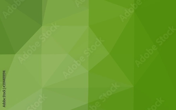 Fototapeta Light Green vector abstract polygonal texture.