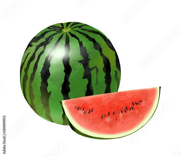 Fototapeta スイカ　イラスト　水彩画