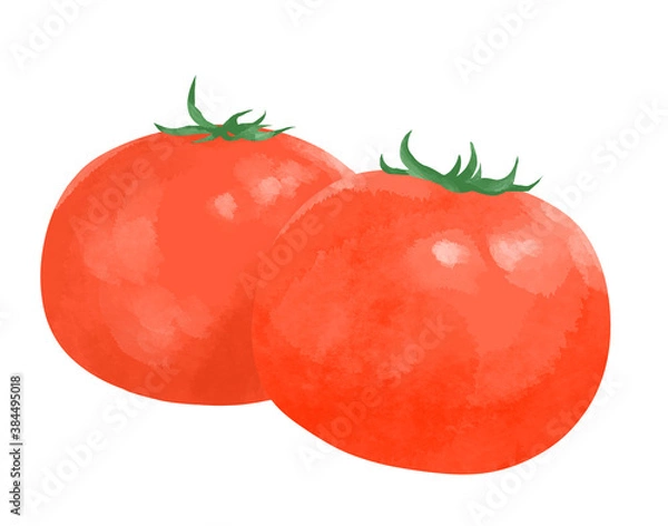 Obraz トマト　イラスト　水彩画