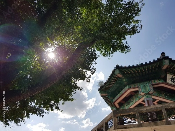 Fototapeta octagonal, sunlight, clear sky