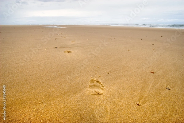 Fototapeta footprints on a wild beach 3