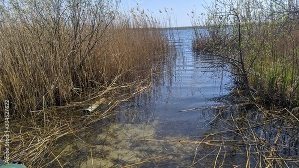 Obraz Winter, autumn, river,pond