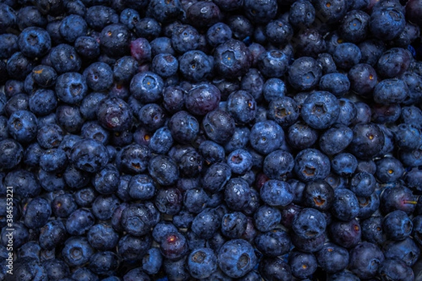 Fototapeta blueberries 