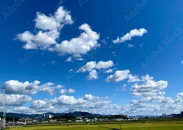 Fototapeta 퇴근길