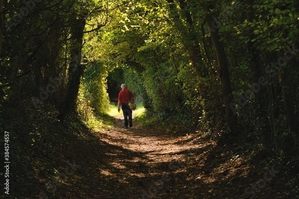 Obraz elderly photographer walking into the light