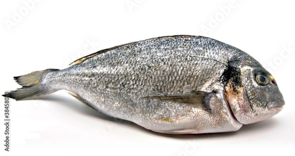 Obraz Pescado fresco