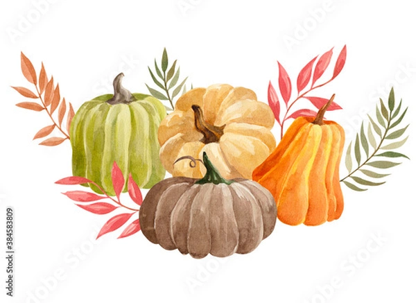 Fototapeta watercolor colorful pumpkins with leaves composition isolated on white