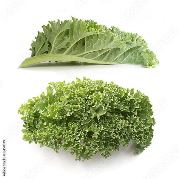 Obraz curly kale leaves