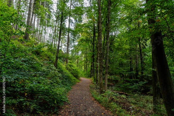 Obraz Im Lauchagrund bei Tabarz